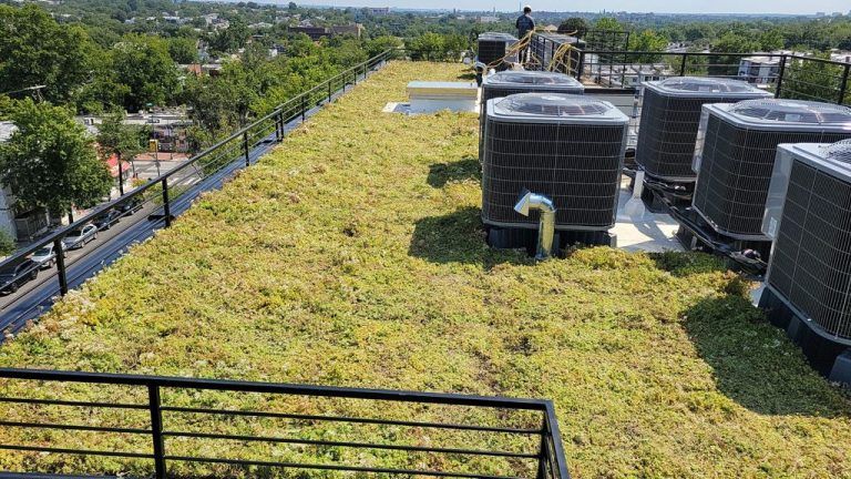 Green rooftop garden with air conditioning units and a person on a bicycle.