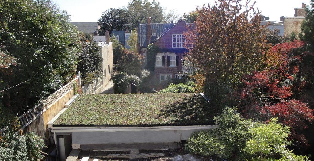 Green roof on a white building, surrounded by trees and residential homes on a sunny day.