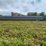 Green roof on a building, with a distant building complex under a cloudy sky.