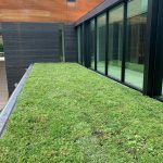 Green roof on a building with glass windows and dark brick siding.
