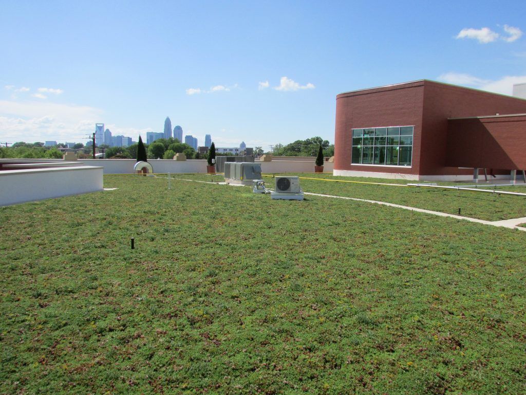 Green roof on a building with a city skyline in the background. Bright blue sky.