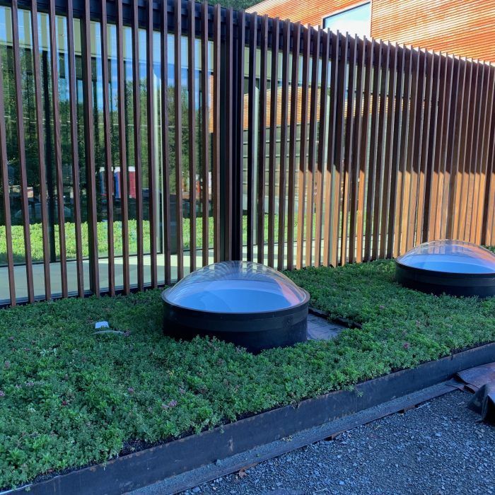 Two round skylights in a green ground cover bed in front of a wooden slatted wall and glass windows.