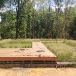 Wooden deck with electrical cords amidst tall grass and trees.