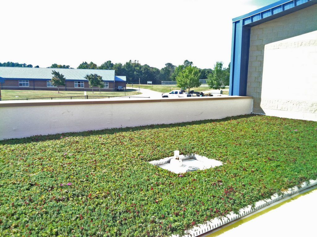 Green roof with a view of a building and trees on a sunny day.