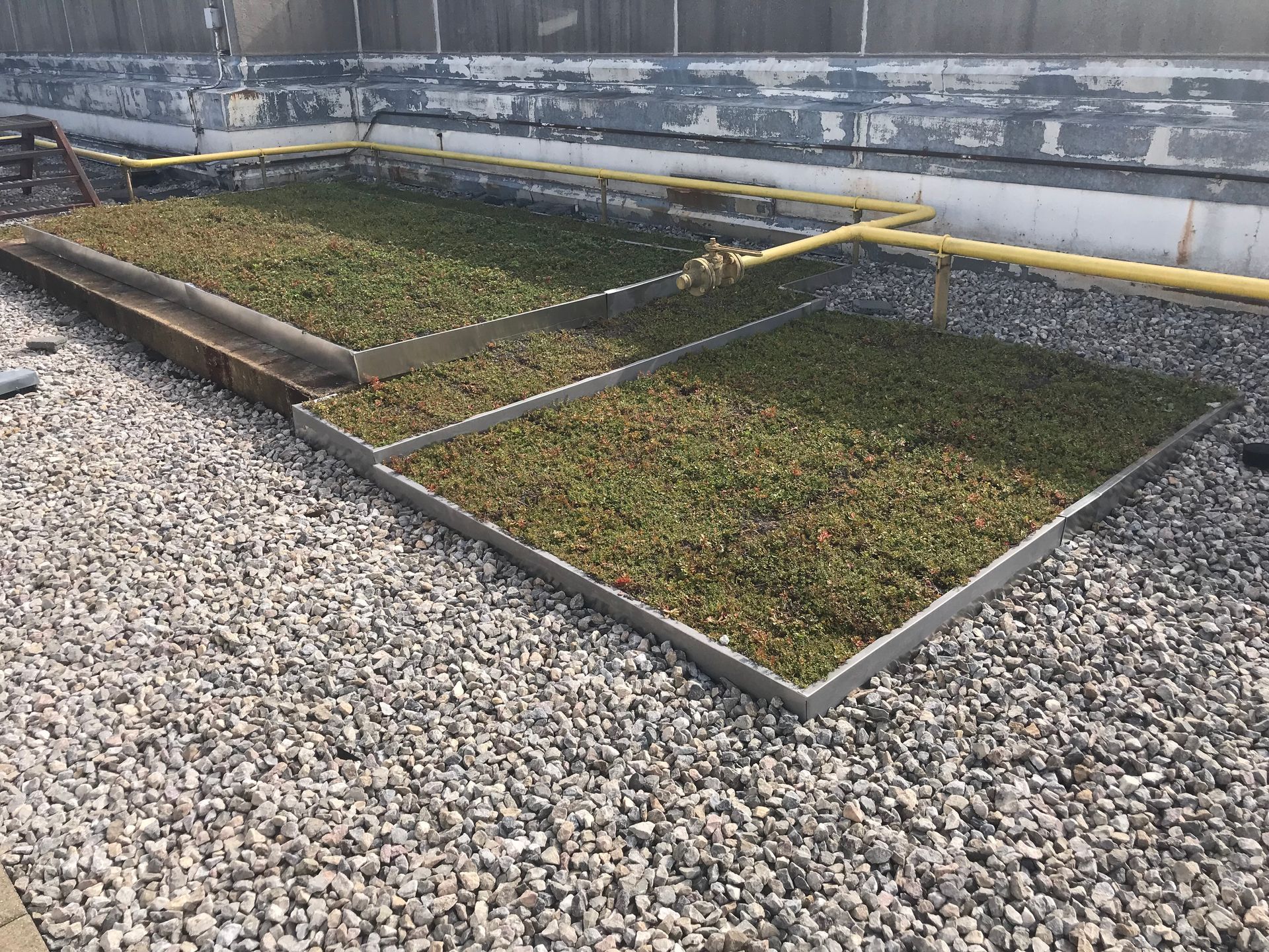 Two green roof plots on a gravel surface, with metal borders and a building in the background.