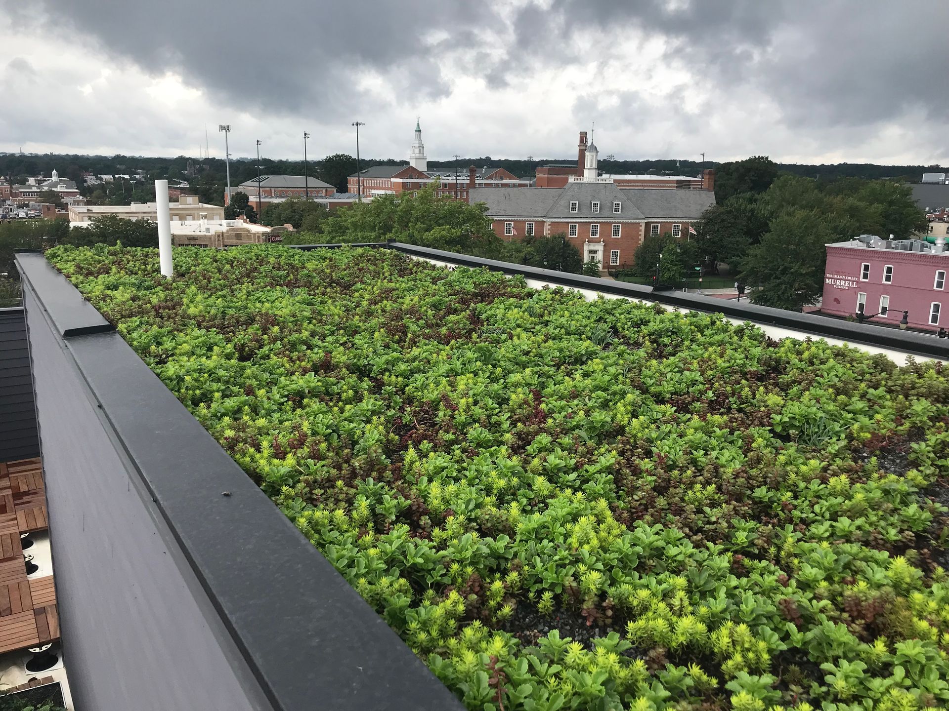 Green roof on building with city skyline and cloudy sky.