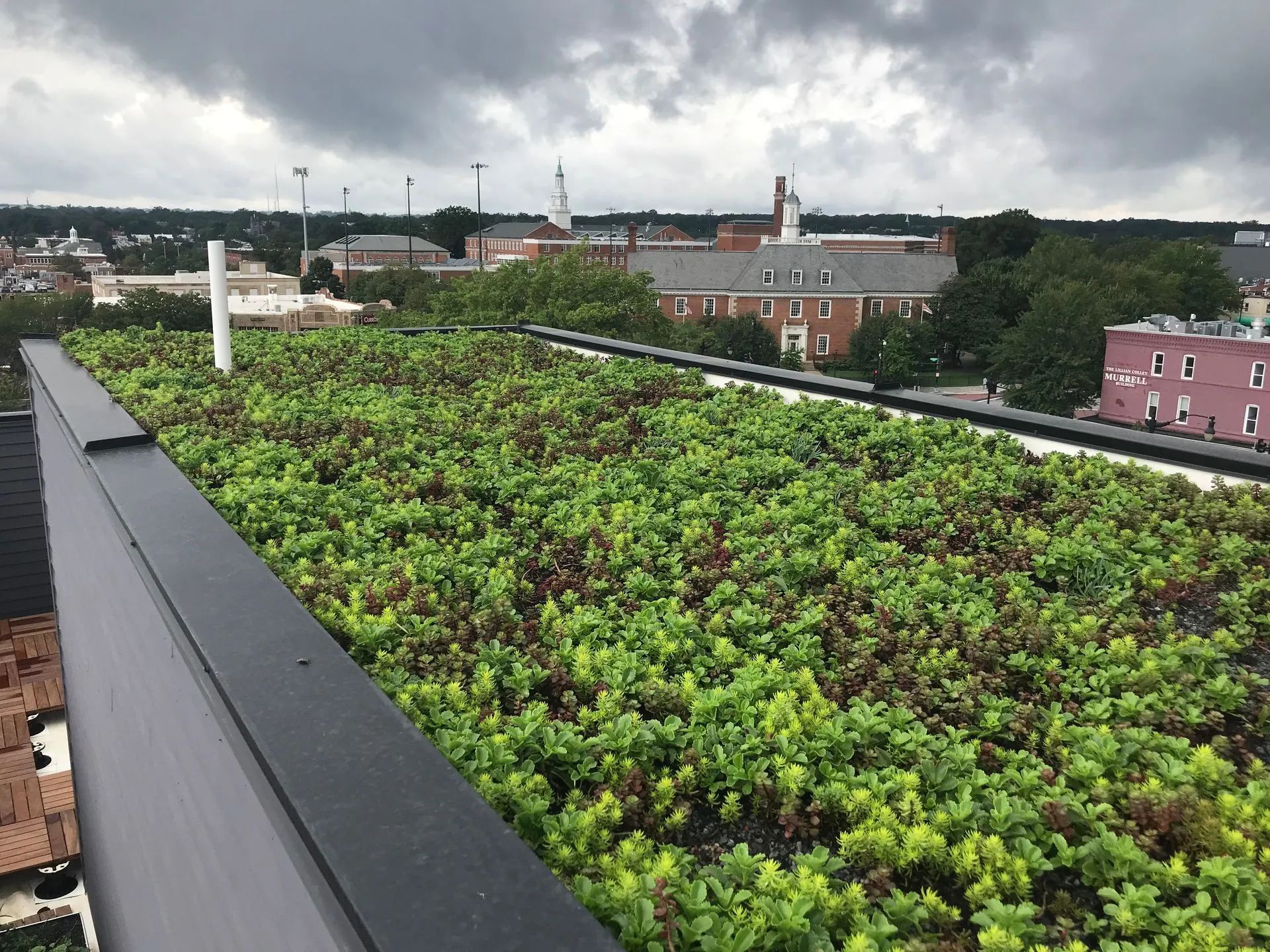 Rooftop garden with lush green plants on a building under cloudy skies in a cityscape.