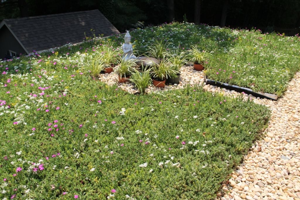 Green roof with various plants, a Buddha statue, and a gravel border on a sunny day.