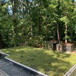 Green lawn with two small wooden structures, surrounded by trees.