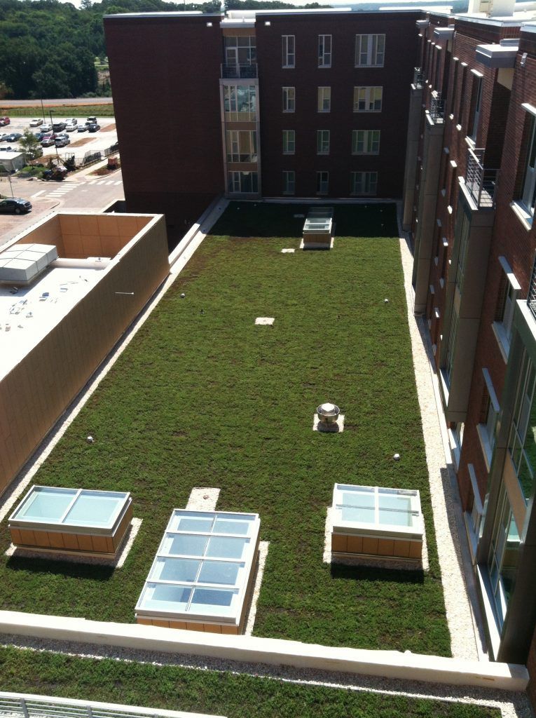 Green roof on a building with skylights, ventilation, and a brick facade.