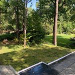 Lawn with fresh cut grass in a yard with trees and a deck.