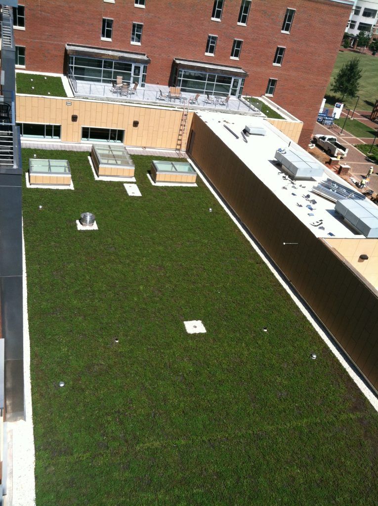 Overhead view of a building's green roof covered in vibrant green vegetation. The brick building is in the background.