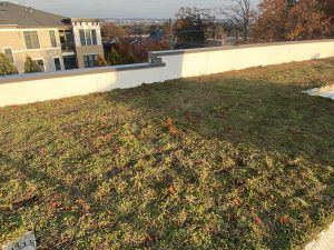 Rooftop garden with green vegetation and a white wall, overlooking a city in the distance.