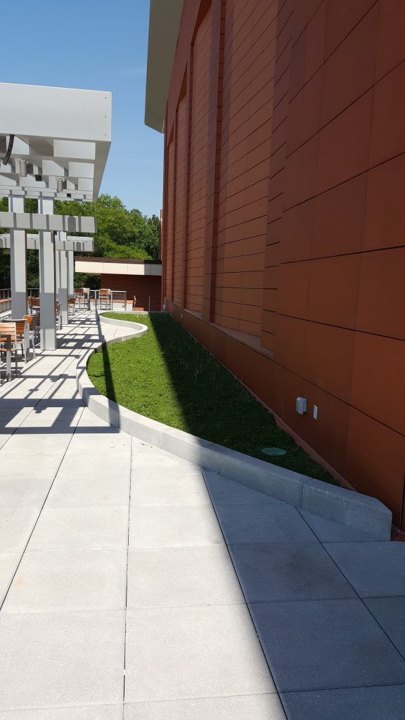 Exterior view: concrete patio, green grass strip, red brick building, and shaded pergola. Sunny day.