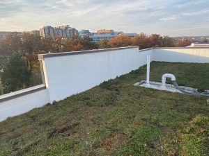 Rooftop garden with low white walls and cityscape background under a cloudy sky.