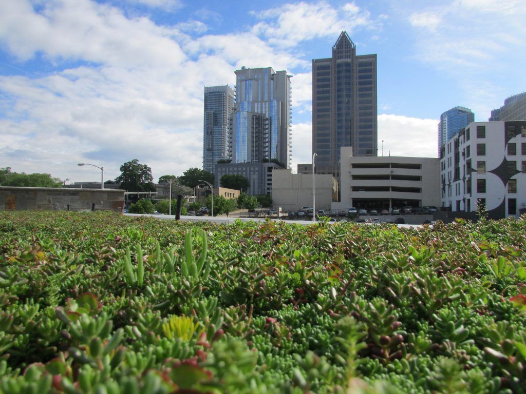 Green rooftop with city skyline in the background, featuring tall buildings and a partly cloudy sky.