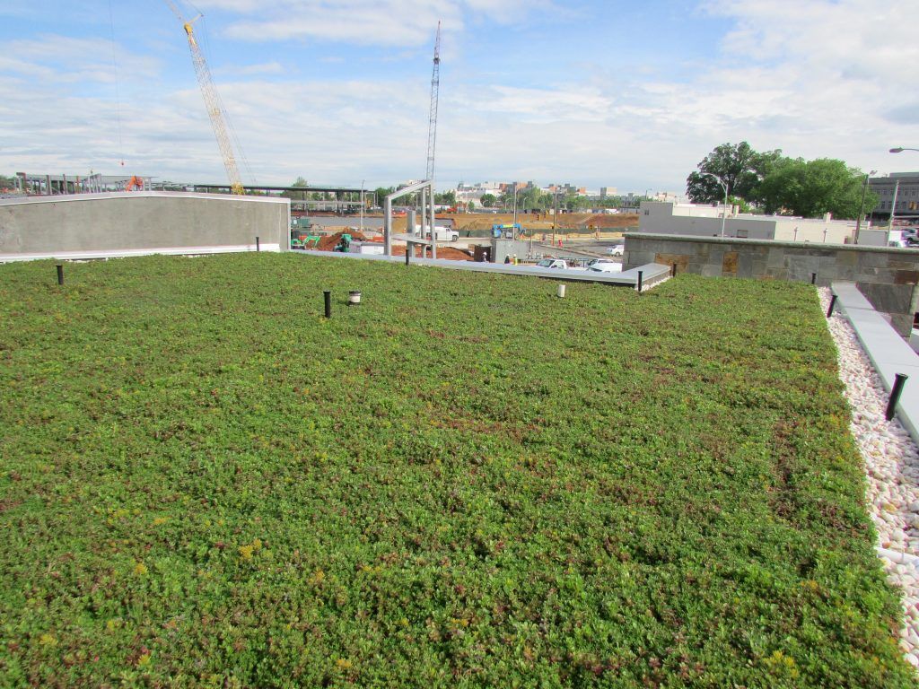 Green rooftop garden with construction in the background under a blue sky.