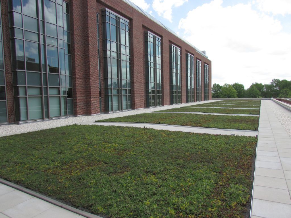 Green roof on a brick building, with large windows and a paved walkway.