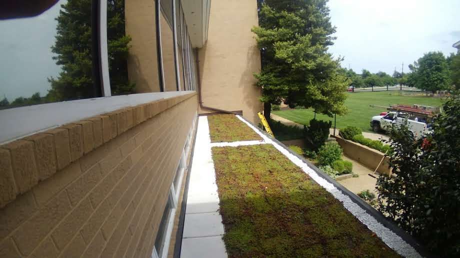 A building's exterior with a green roof, brick facade, and a view of a grassy area with trees and vehicles.