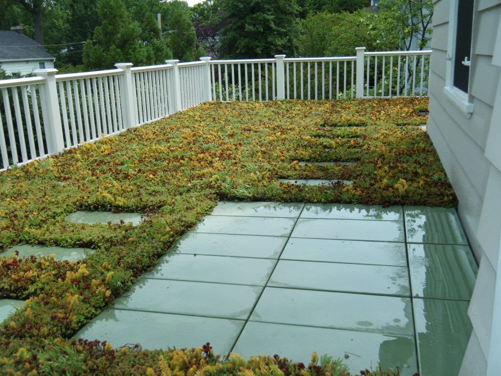 Green roof with stepping stones and white railing.