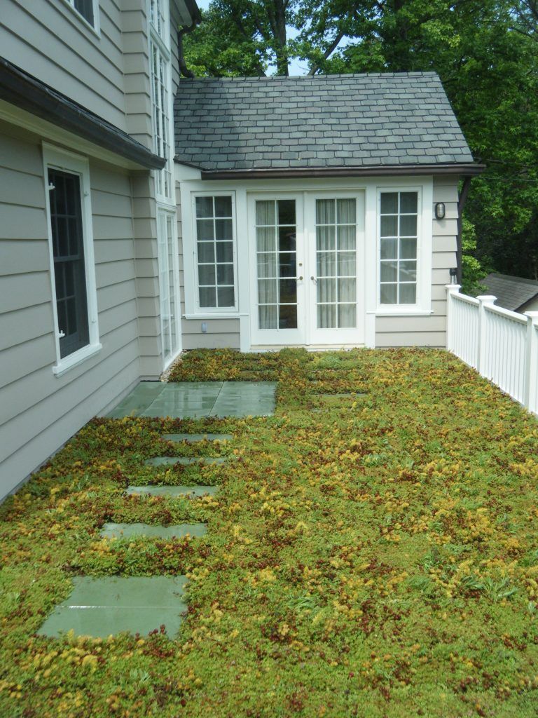 Green roof patio with stepping stones leading to white French doors.