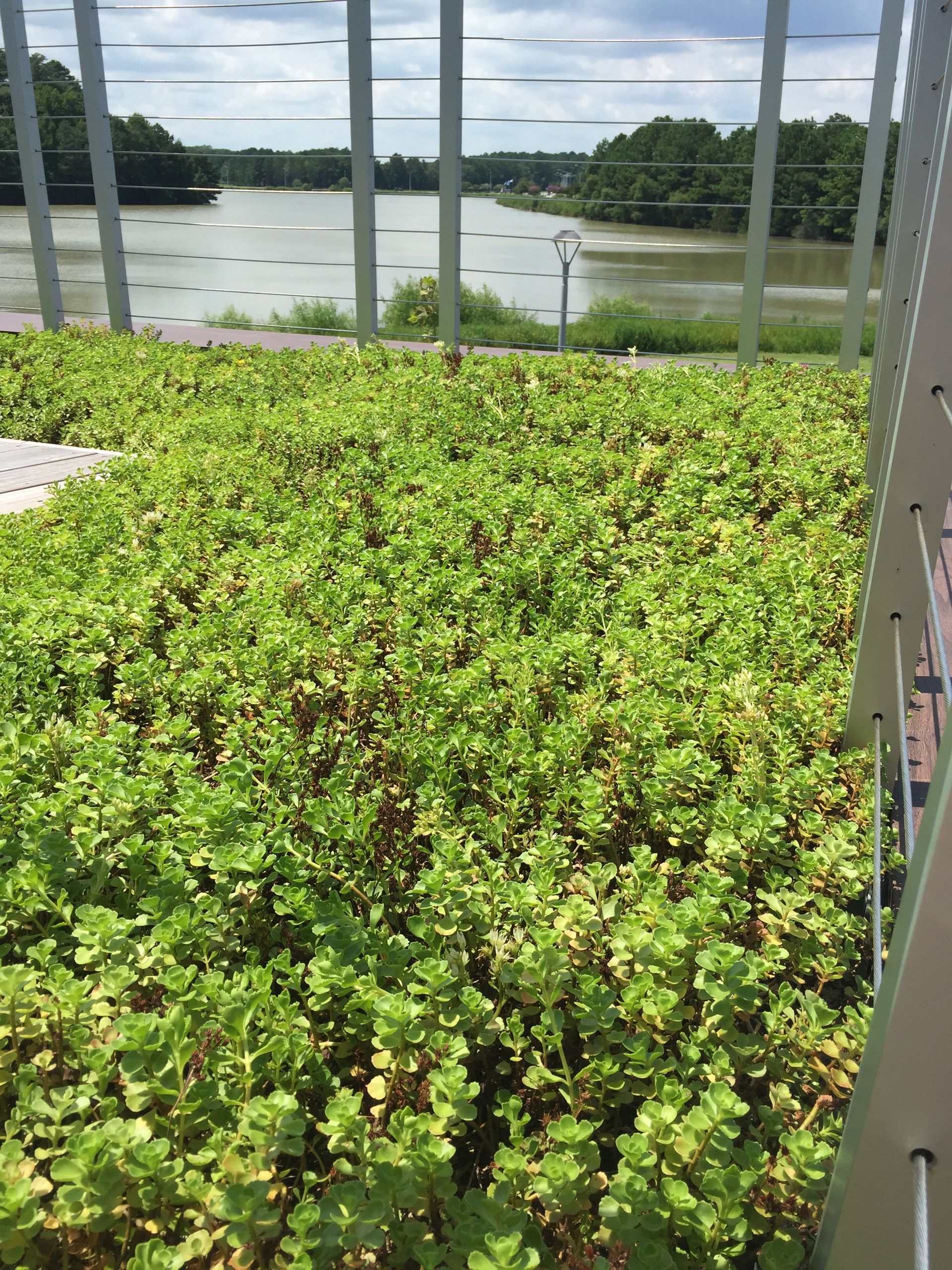 Green rooftop garden with a lake view framed by white metal structures.