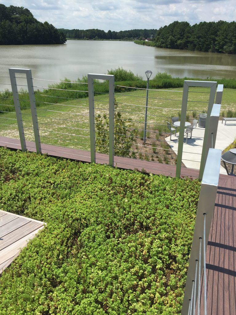 Green vegetation in foreground, with metal posts and river in the background under a blue sky.