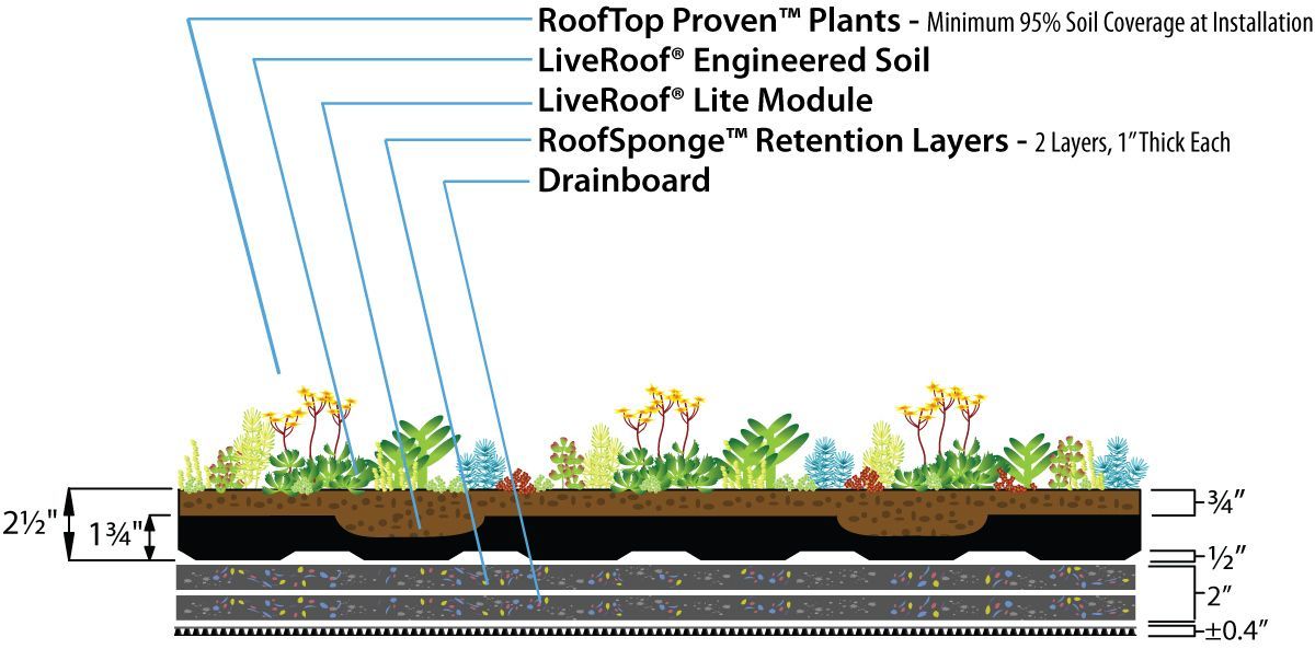 Cross-section diagram of a green roof, showing layers of plants, soil, modules, and drainage.