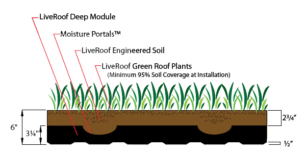 Diagram of a green roof system: plants, soil, moisture portals, and deep module are labeled with measurements.