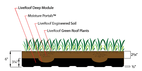 Diagram of a green roof system, showing layers: module, soil, and plants. Dimensions are also included.