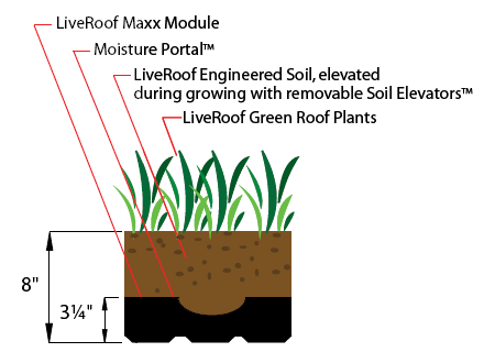 Cross-section of a green roof system showing layers, including plants, soil, a module, and a moisture portal.