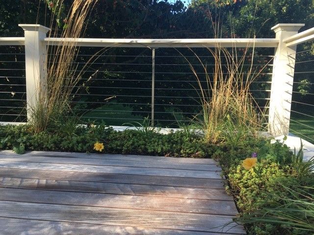 Wooden deck with low green plants and tall grass, wire railing, white posts, and a grassy background.