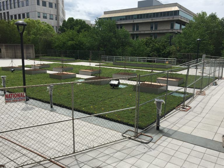 A fenced-in green roof with square planting beds, solar lights, and a building backdrop.