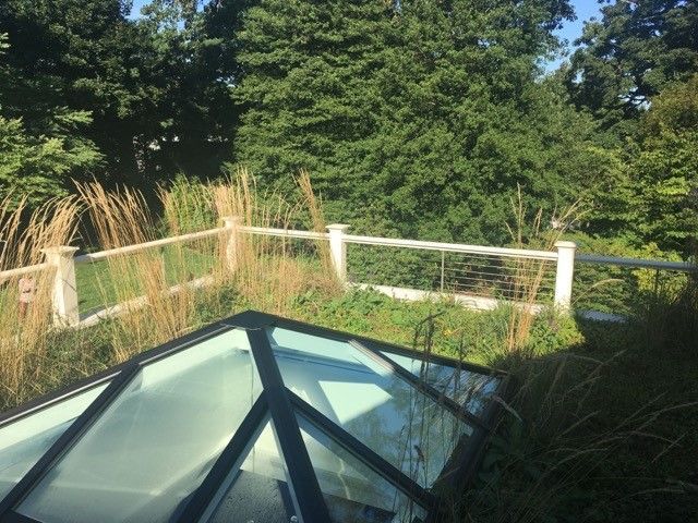 Glass skylight with a grassy rooftop and a fence overlooking a green, tree-filled landscape.