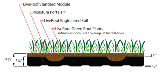 Cross-section diagram of a green roof module showing layers including plants, soil, and drainage features.