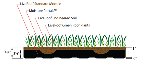 Cross-section of a green roof module showing layers: plants, soil, moisture portals, and the module itself.