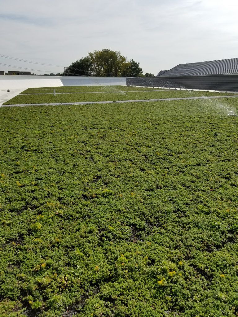 Green roof with watering sprinklers, under a partly cloudy sky.