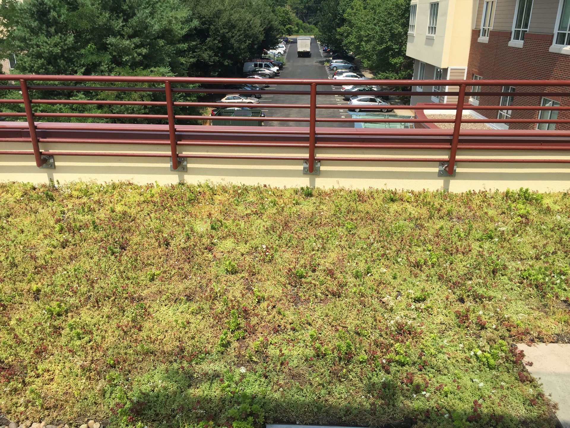 Green rooftop with a metal railing overlooking a street with parked cars and a building.