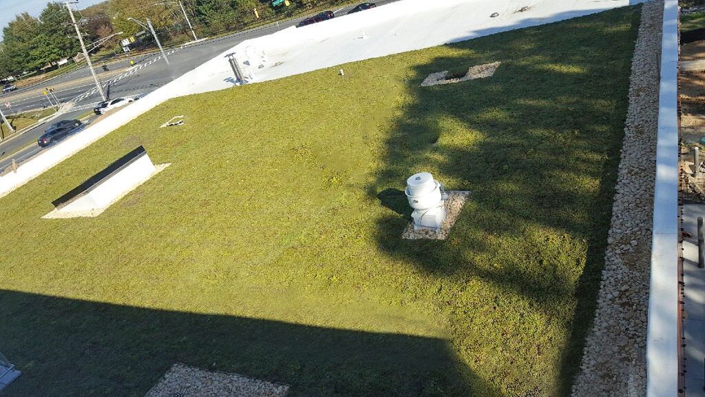 Green rooftop with grassy covering and white concrete border.