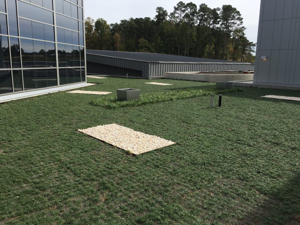 Green roof with stone pathway, next to building with large glass windows and metal structure.