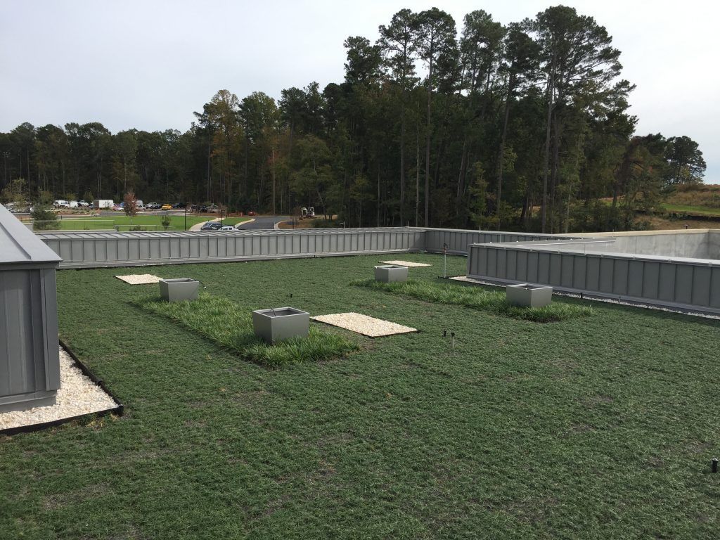 Green roof with planters, gravel, and surrounding fence; trees in the background under an overcast sky.