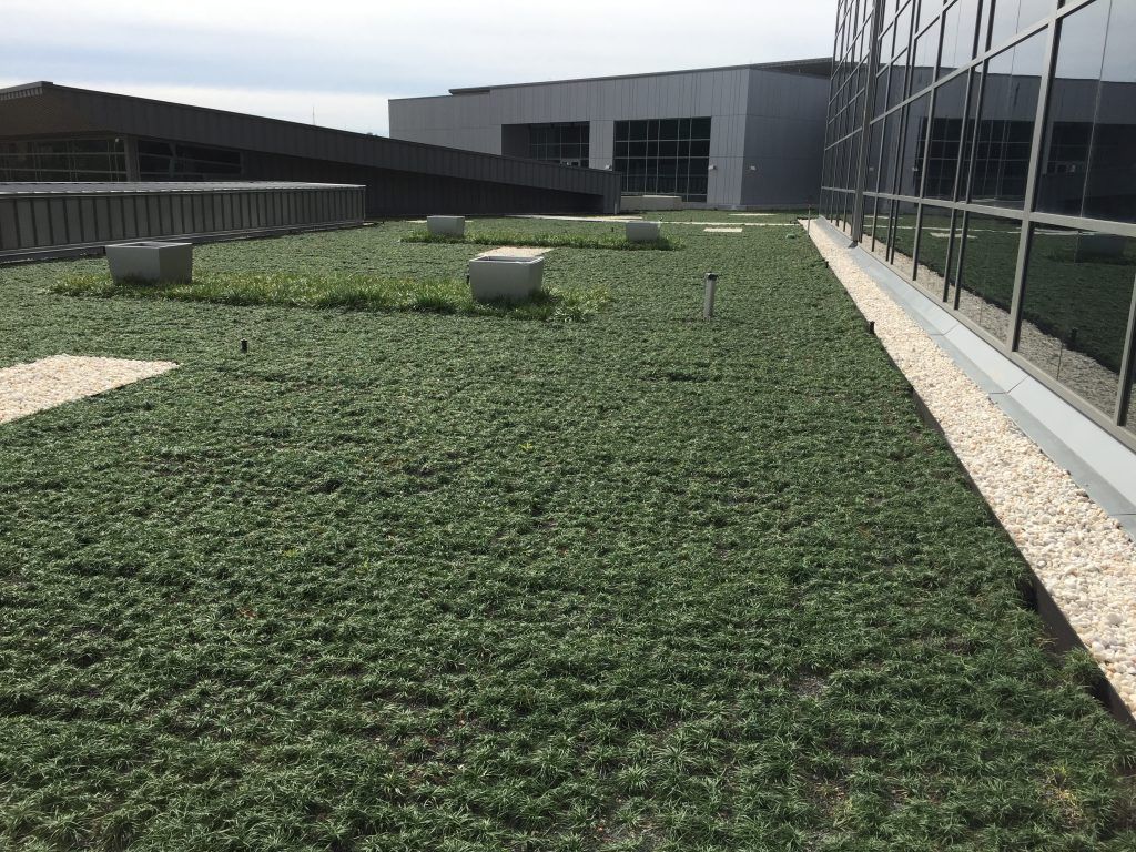 Green roof on a building with glass windows, gray walls, and small, white concrete blocks.
