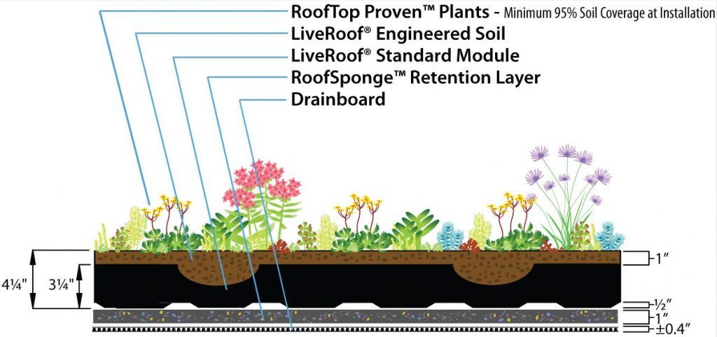 Cross-section diagram of a green roof with plants, soil, modules, retention layer, and drainboard.