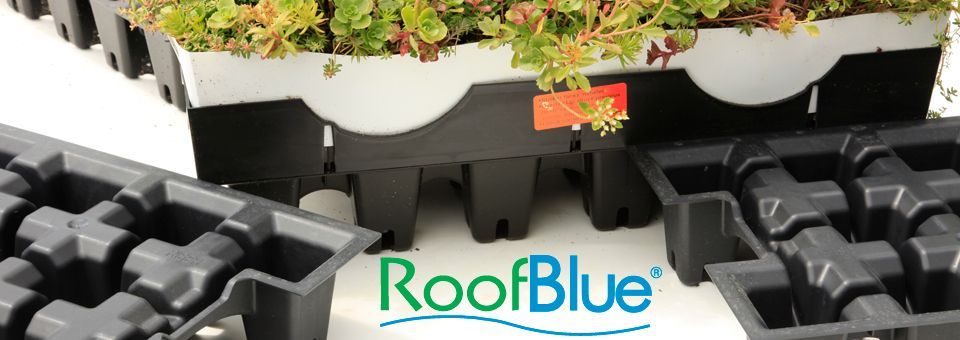 Green roof trays with vegetation, RoofBlue logo. Black plastic trays with plants.