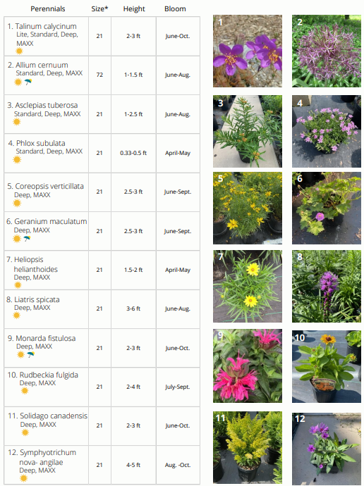 Chart of 12 perennial plants with names, sizes, heights, bloom times, and photos.