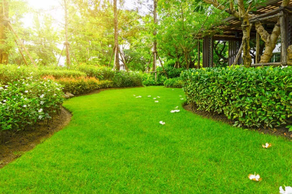 A Lush Green Lawn in a Park with Trees and Bushes — Simon Dickson Excavations in Moss Vale, NSW