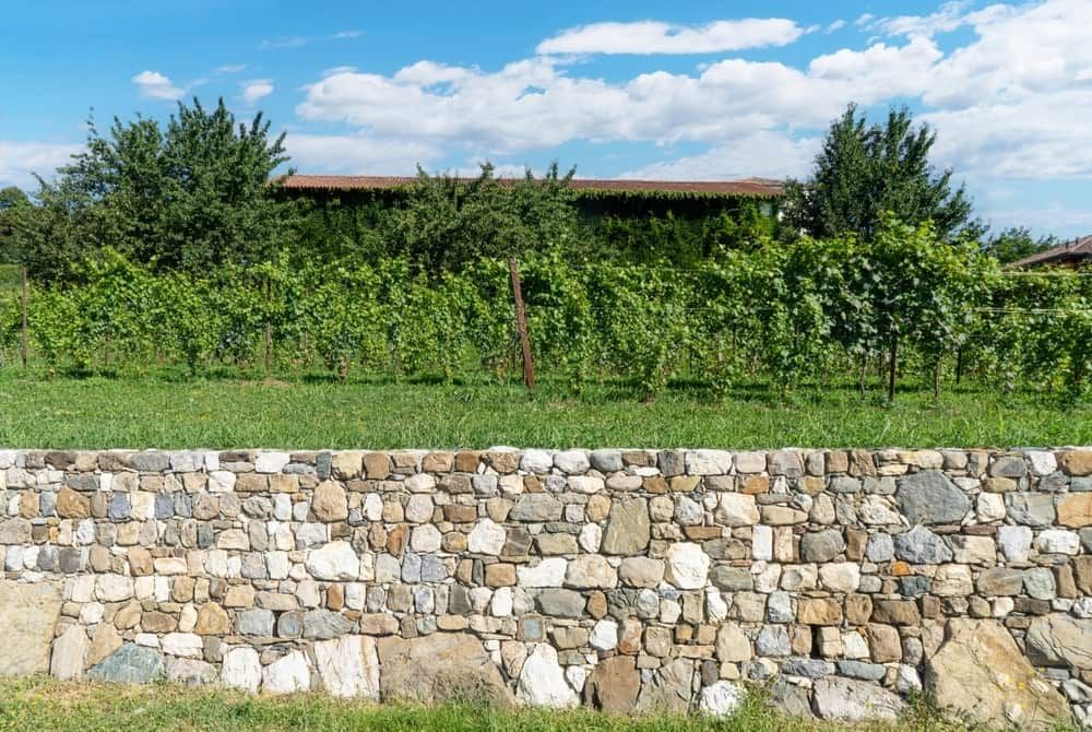 A Stone Wall Surrounds a Vineyard with a House — Simon Dickson Excavations in Mittagong, NSW