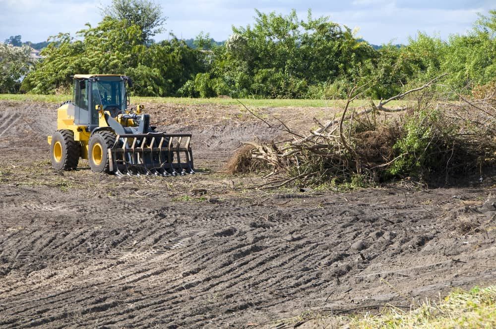 A Bulldozer is Moving Dirt in a Field with Trees — Simon Dickson Excavations in Bowral, NSW