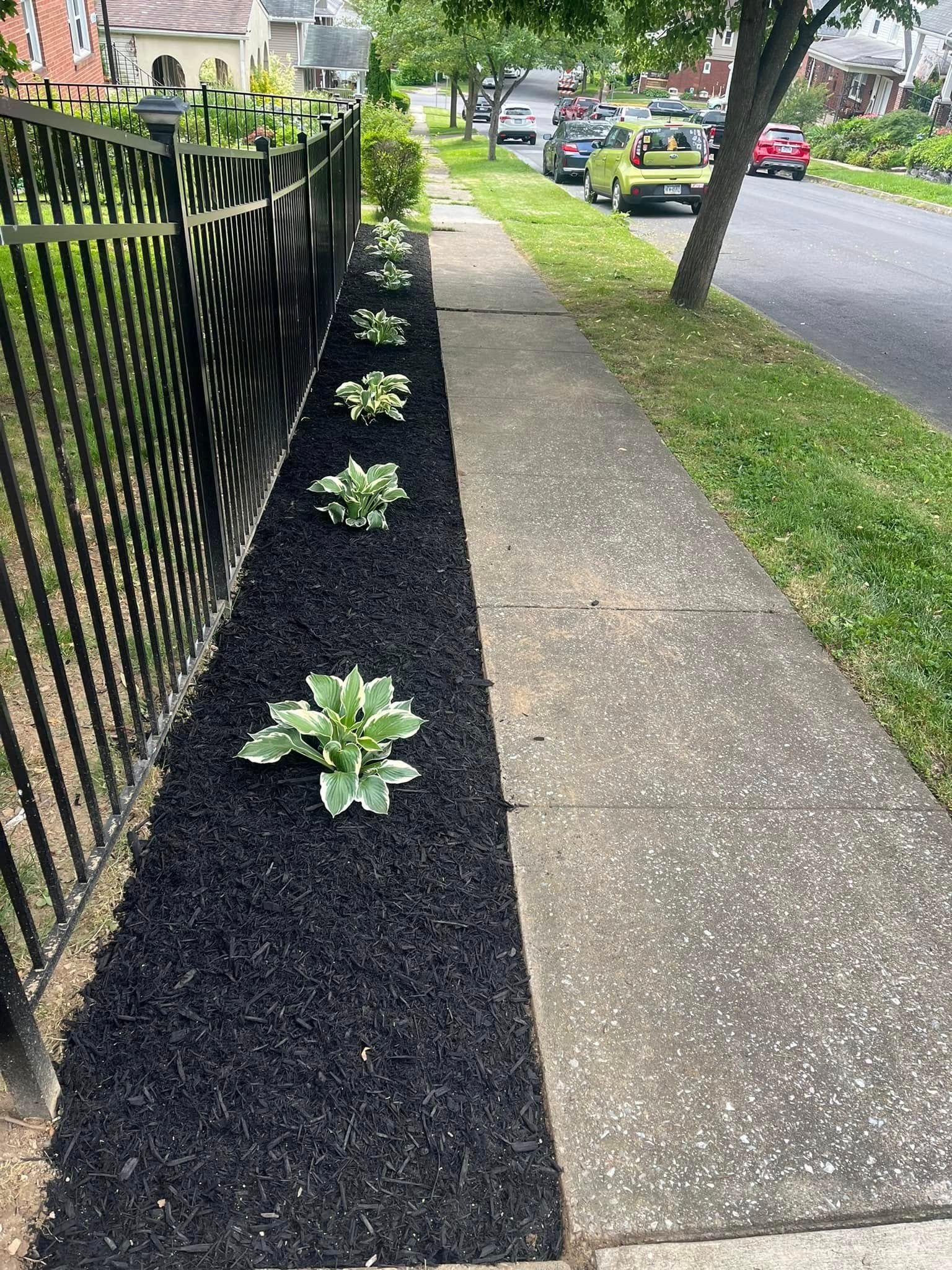 PRIMETIME lawn care and landscaping project - after
