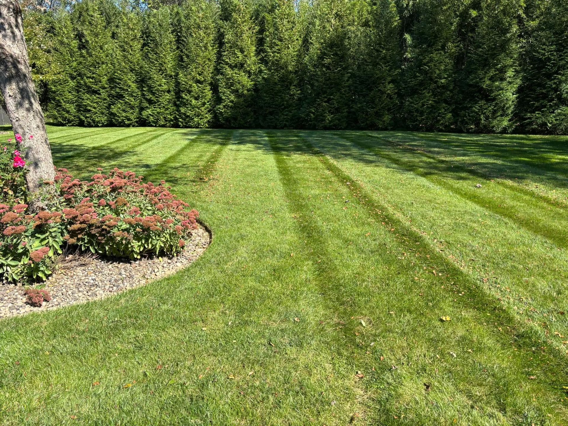PRIMETIME lawn care and landscaping lawn services 